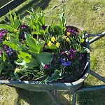 Bed & Breakfast Benb Hoeve Weltevreden 3*