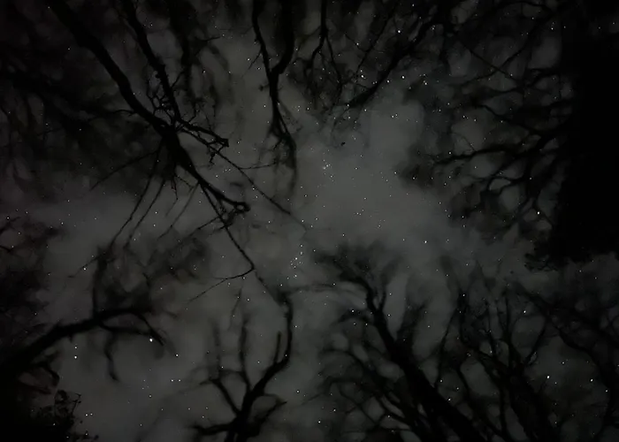 Couette-café Benb Hoeve Weltevreden 3*