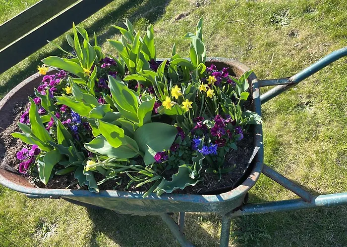 Alojamento de Acomodação e Pequeno-almoço Benb Hoeve Weltevreden 3*